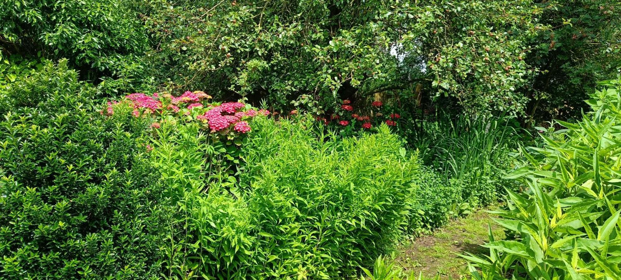 Bliss - Gate To The Flemish Ardens Διαμέρισμα Oudenaarde Εξωτερικό φωτογραφία